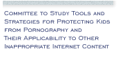 Committee to Study Tools and Strategies for Protecting Kids from Pornography and Their Applicability to Other Inappropriate Internet Content